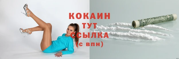 дживик Мегион