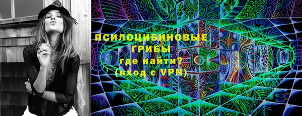 apvp Абаза
