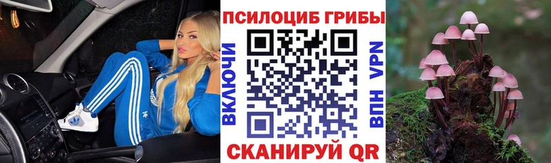 Галлюциногенные грибы мухоморы KRAKEN сайт Новочебоксарск